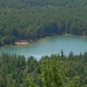 Meet your Posher, Lorraine